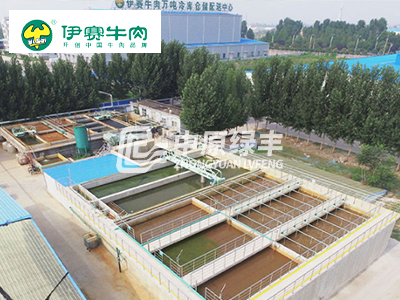伊賽牛肉（博愛(ài)分廠(chǎng)）1500m3/d廢水處理案例