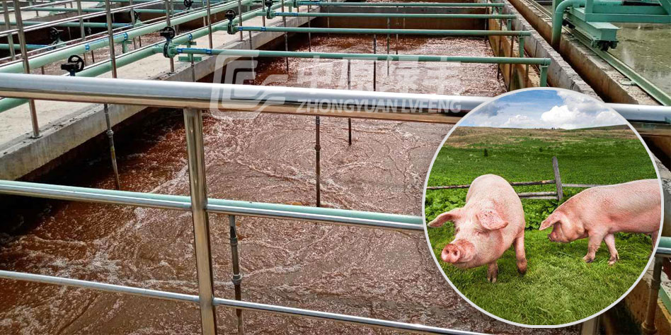 屠宰廢水應(yīng)該怎么處理？