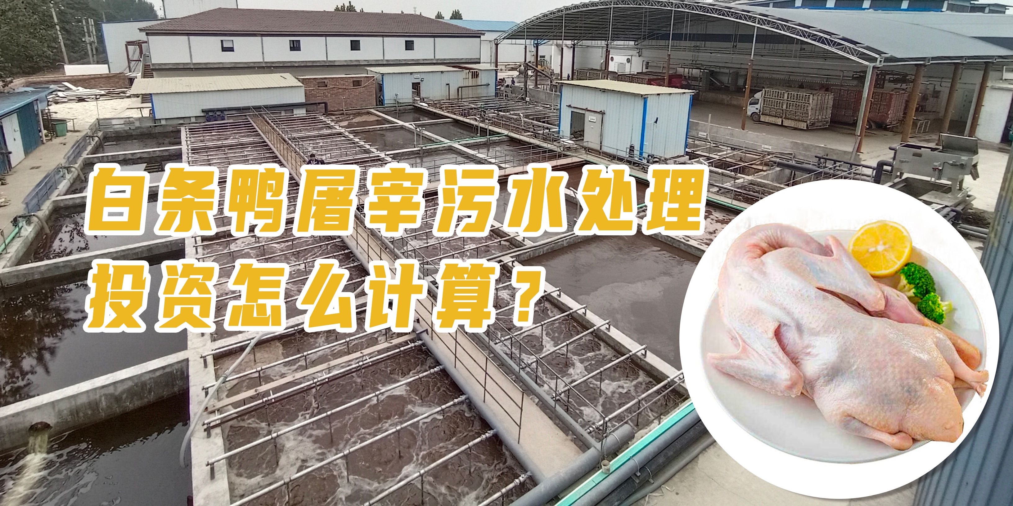 白條鴨屠宰污水處理投資怎么計(jì)算？
