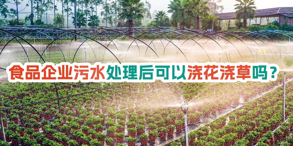 食品企業(yè)污水處理后可以澆花澆草嗎？