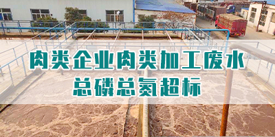 肉類企業(yè)肉類加工廢水總磷總氮超標(biāo)怎么處理？