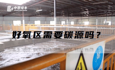 屠宰污水處理好氧區(qū)需要碳源嗎？