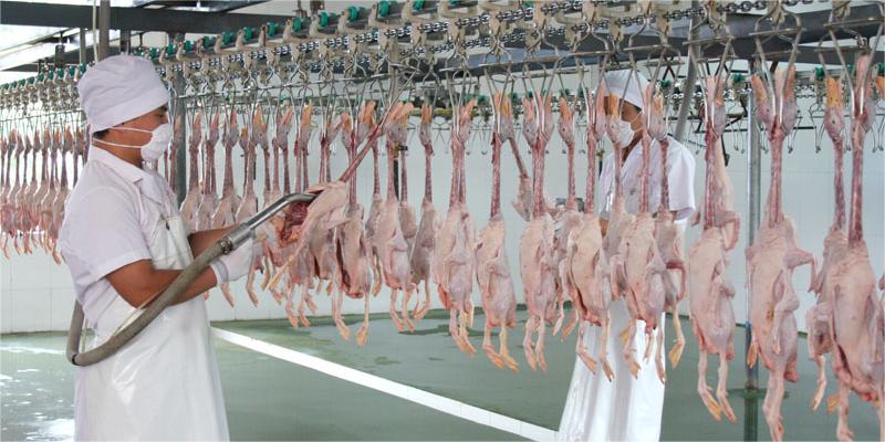 如何處理白條鴨屠宰產(chǎn)生的廢水？