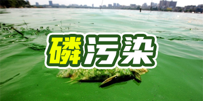 含磷廢水有什么特點(diǎn)？哪種除磷方法成本比較低？