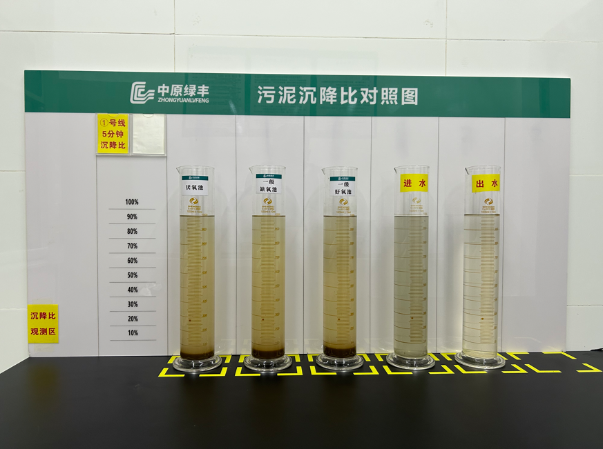 微信圖片_20251204151713_21_2